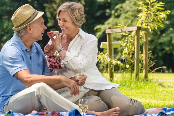 photo-smiling-pensioner-couple-picnicking-summer