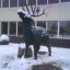 константин123