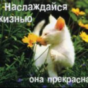Света