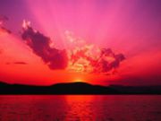 Sone4ko