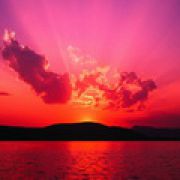 Sone4ko