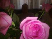 Алексей Подгорбунских