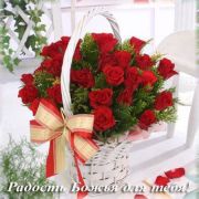 Yanela )) ))