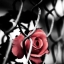 fodot toorop