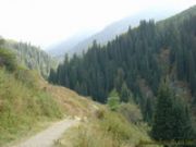 алексейца