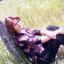 missalya11