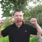 s@vinov