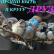 Валентина