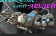Валентина