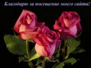 Алёнка27