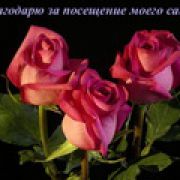 Алёнка27