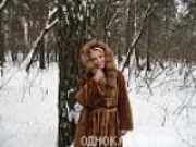 маргарита