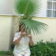 Галина