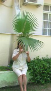 Галина