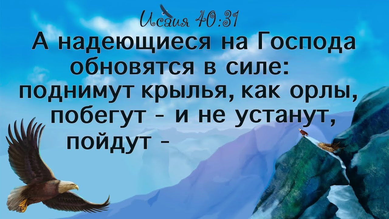 А надеющиеся на господа обновятся в силе поднимут крылья как орлы картинки